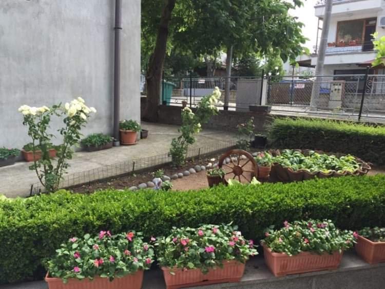 Къща Мечта Černomorec Exterior foto